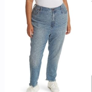 NWT Madewell Raw Hem Jean Hoyne Wash Sz 34